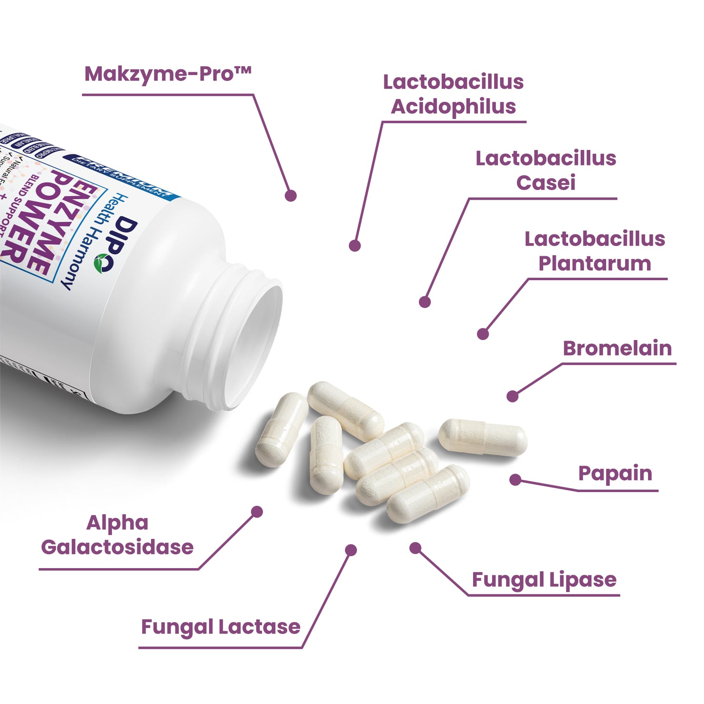 Digestive Enzyme Blend